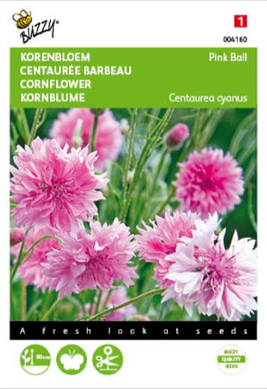 Cornflower Pink Ball (Centaurea cyanus) 200 seeds BU